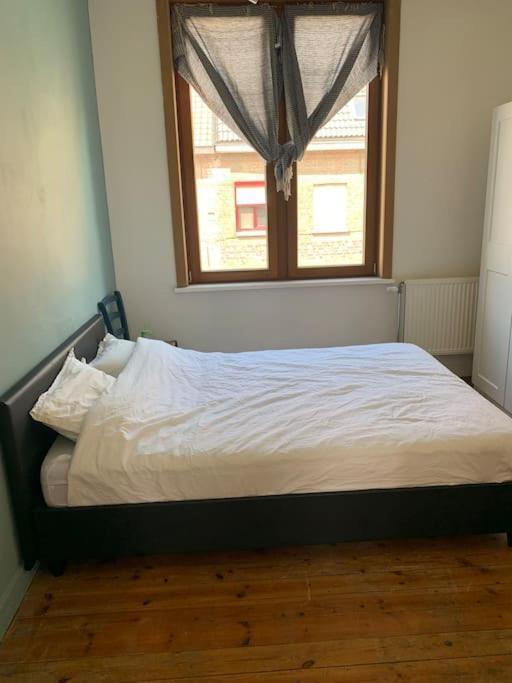 Вілла Burgerwoning Bij Brugge Екстер'єр фото